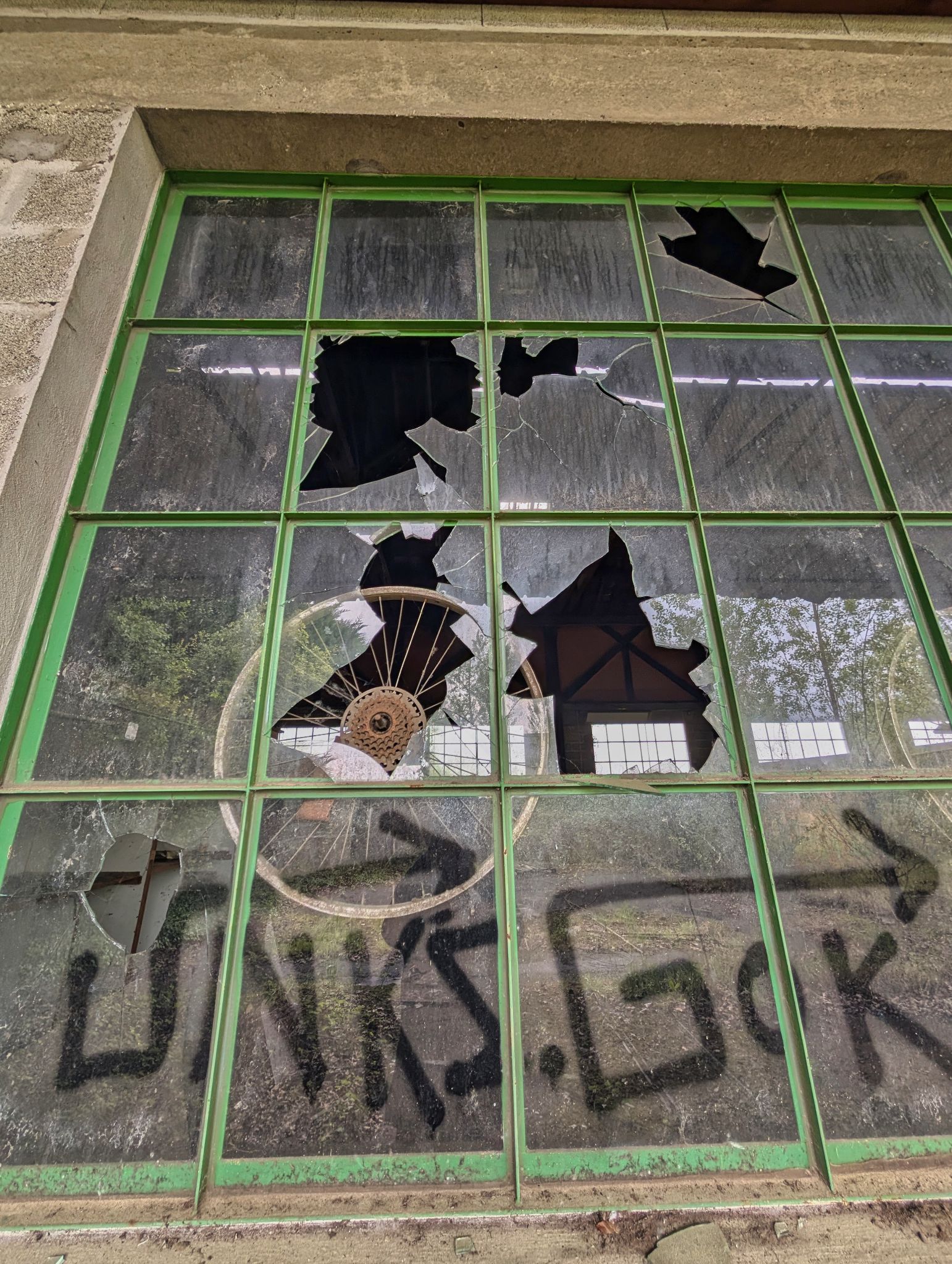 PXL 20250427 091230518