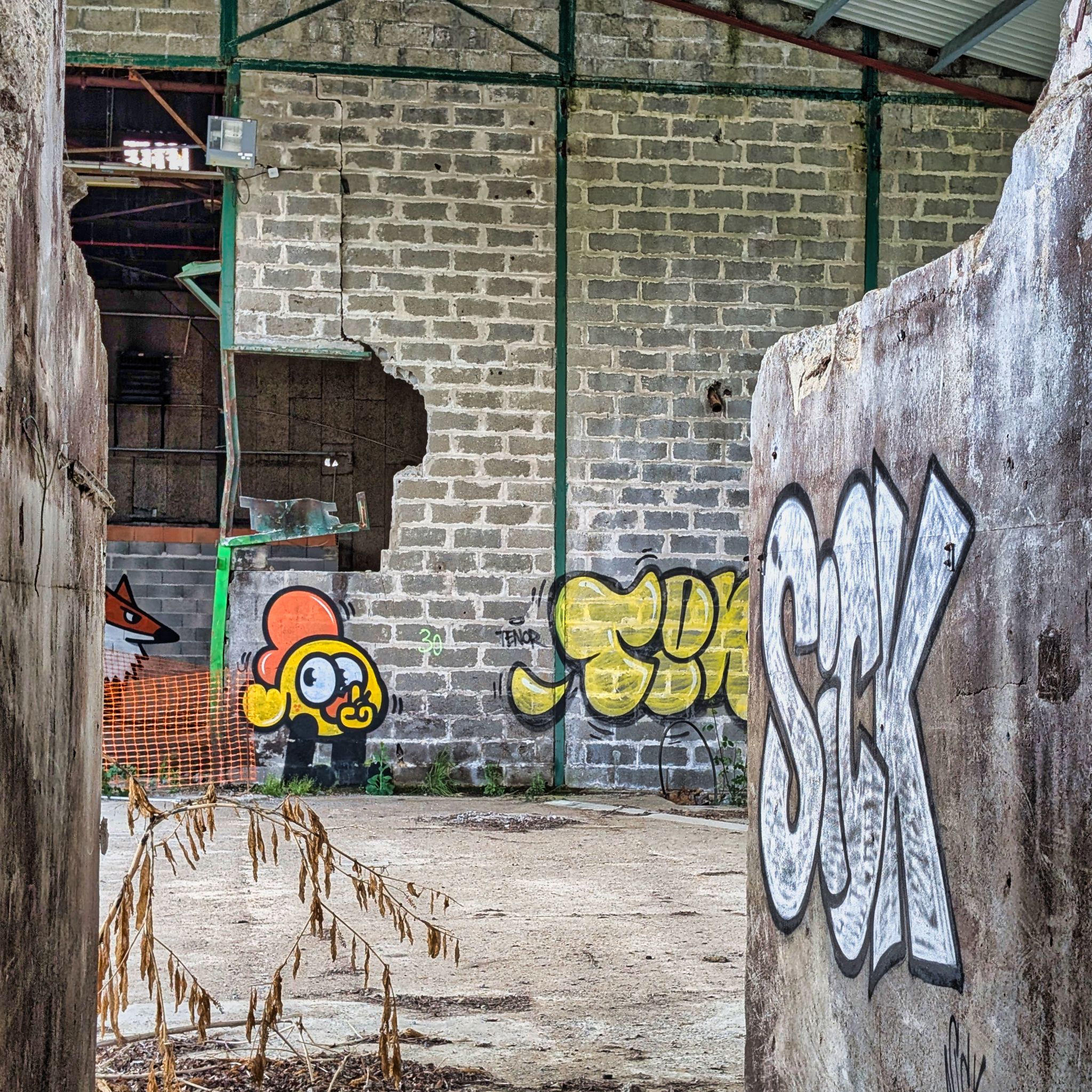 PXL 20250427 092330026