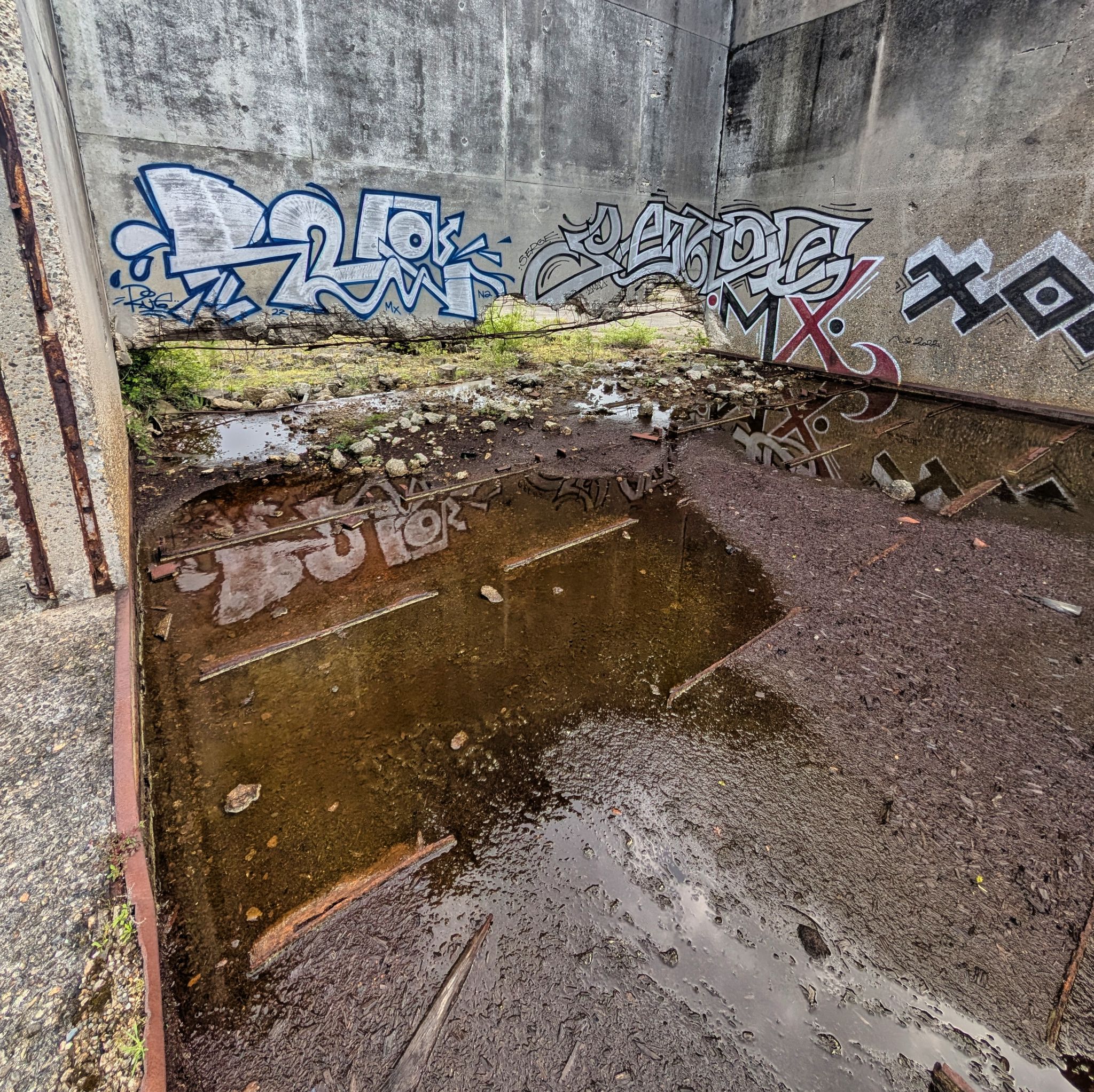 PXL 20250427 093854654