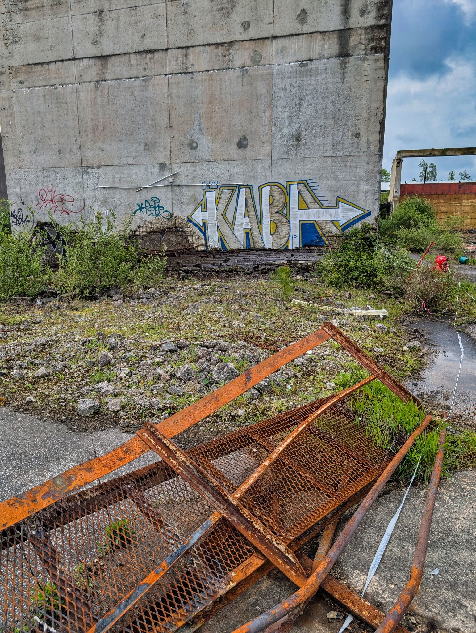 PXL 20250427 093954411