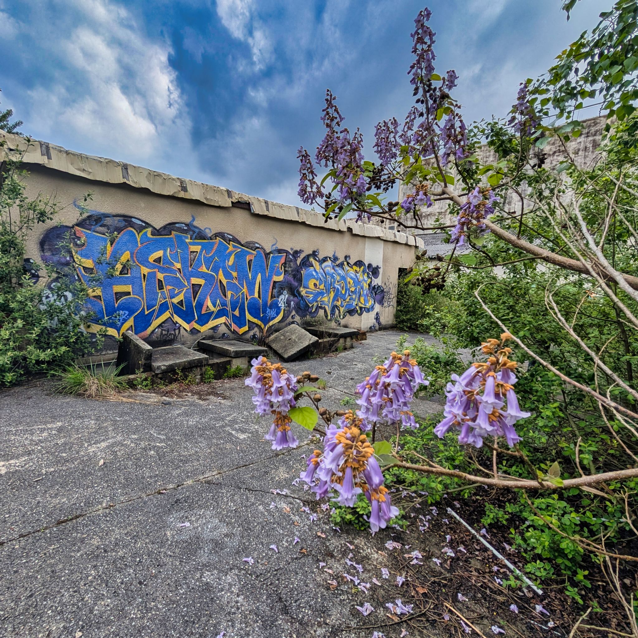 PXL 20250427 094804448