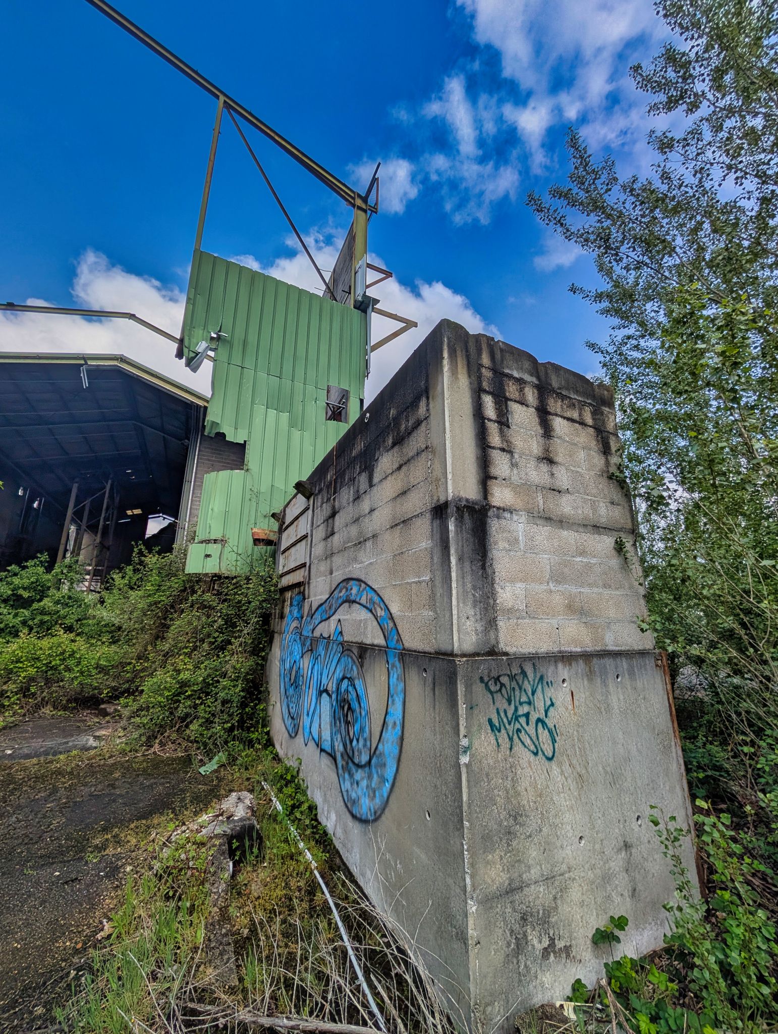 PXL 20250427 100430784