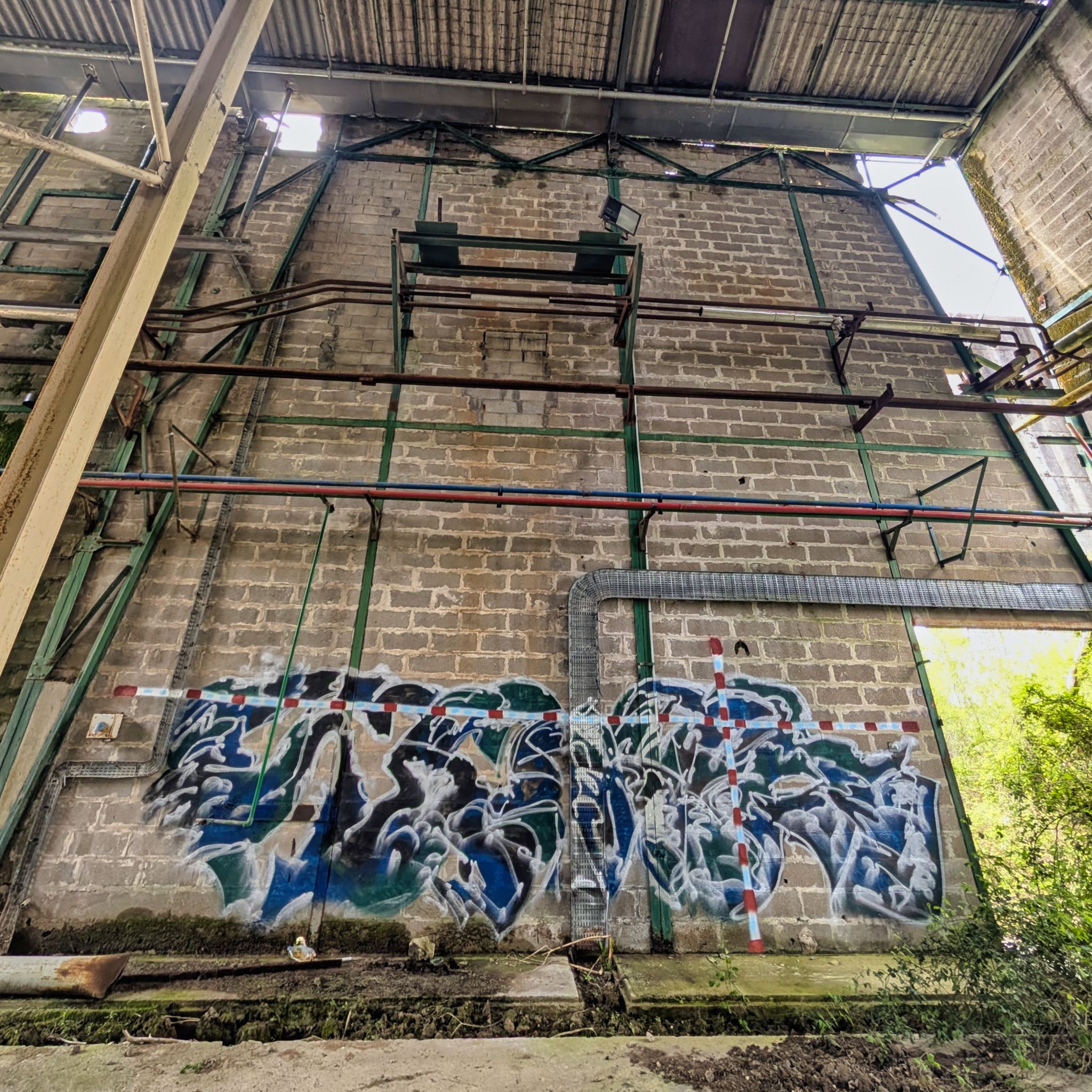 PXL 20250427 100534168