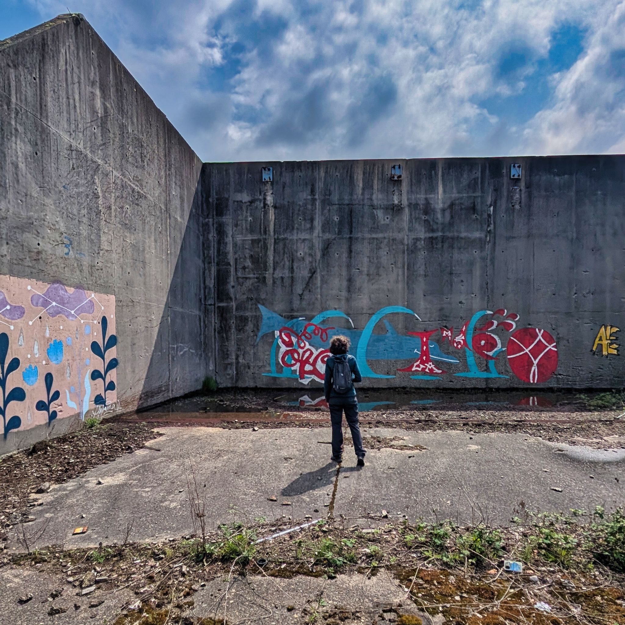 PXL 20250427 102722988