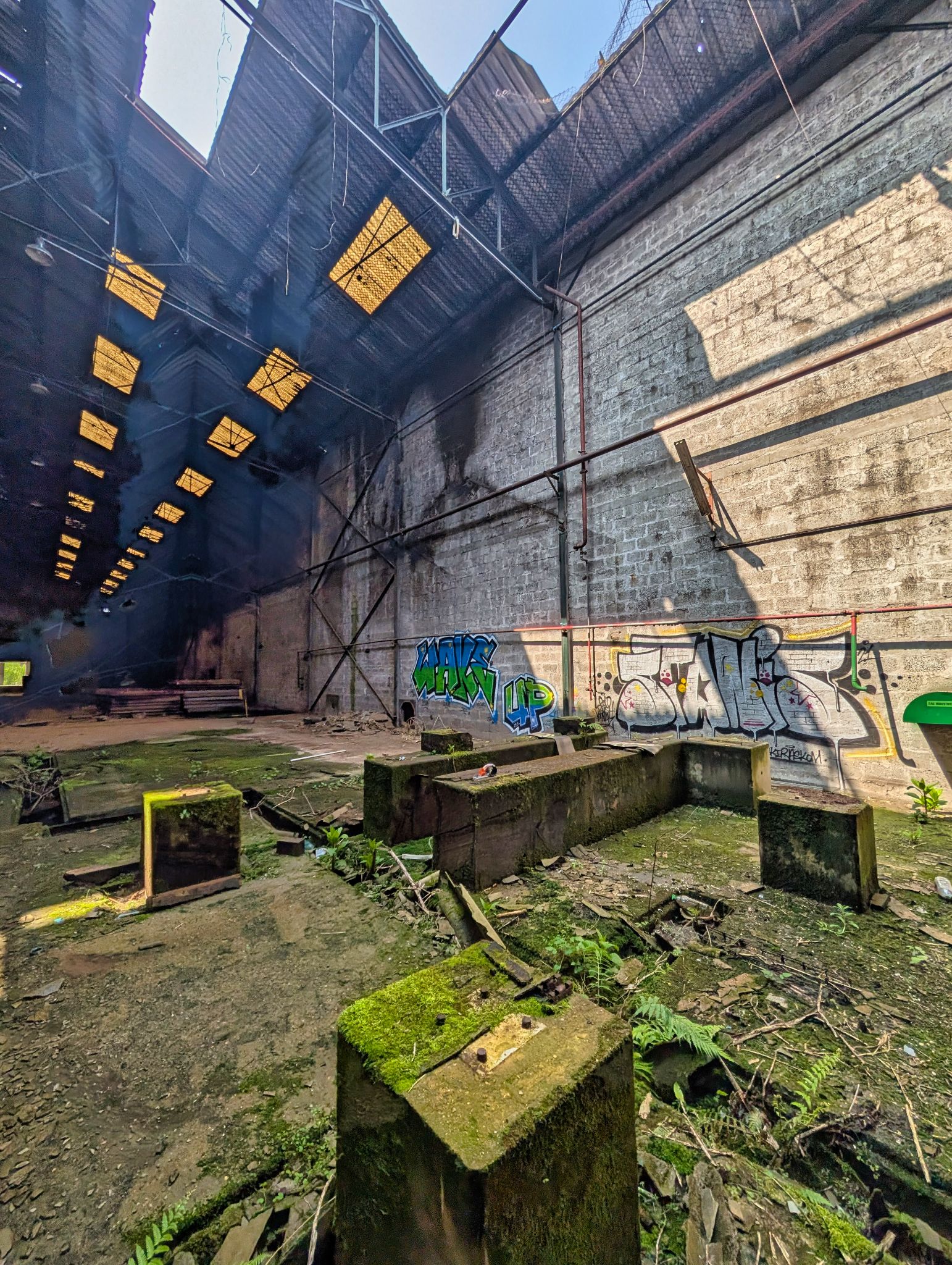 PXL 20250427 104354339