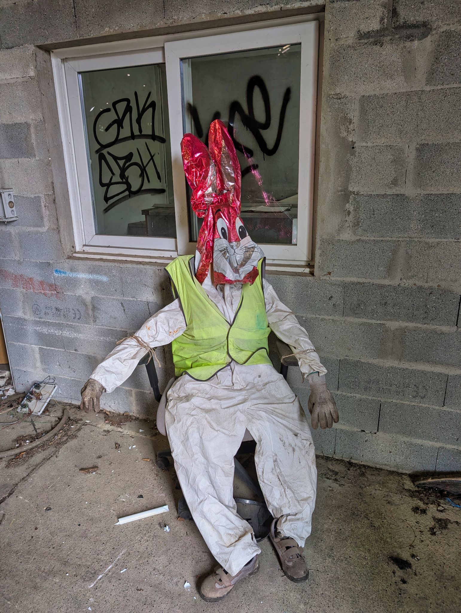 PXL 20250427 113913682.MP