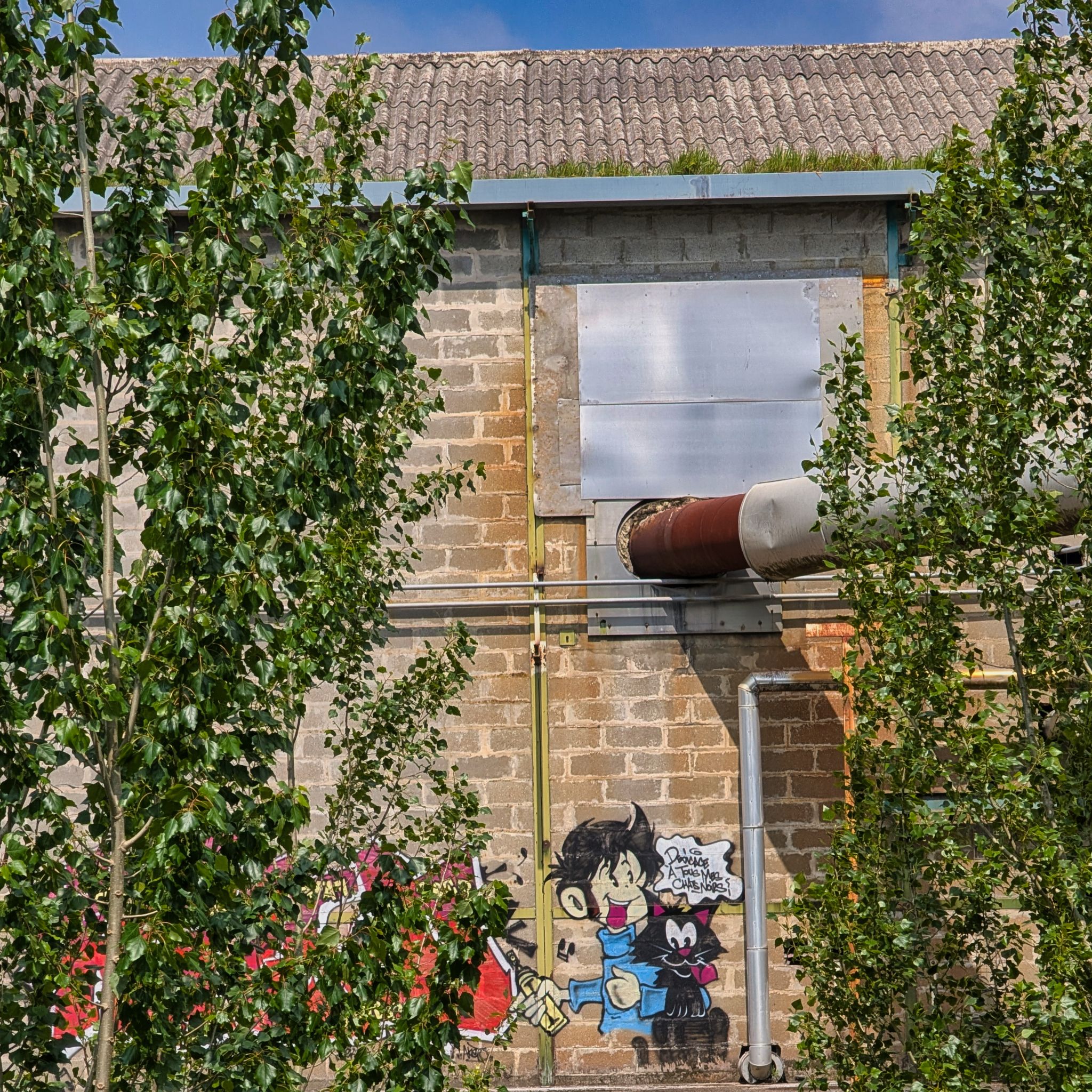 PXL 20250427 125330235