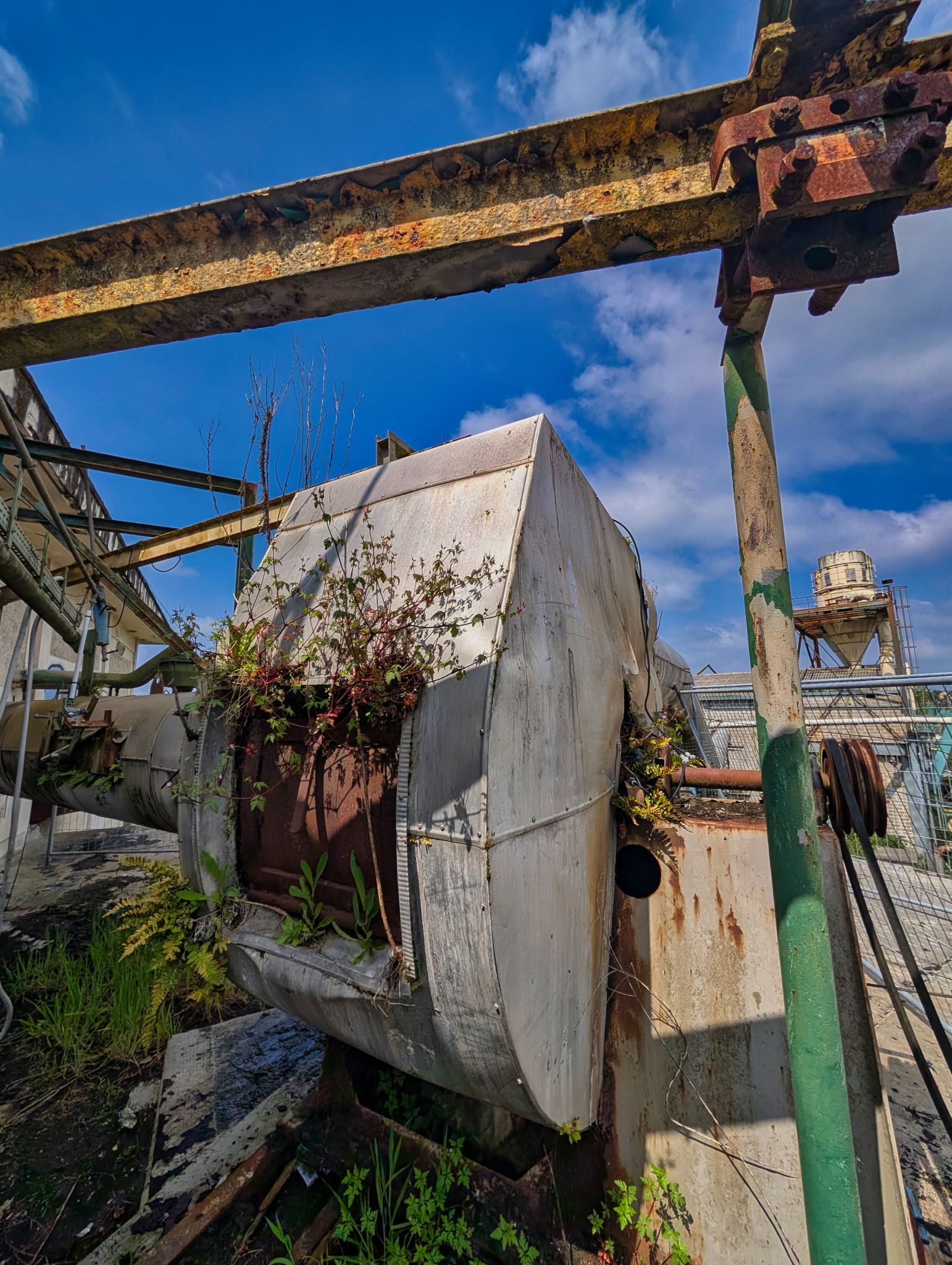 PXL 20250427 125556306