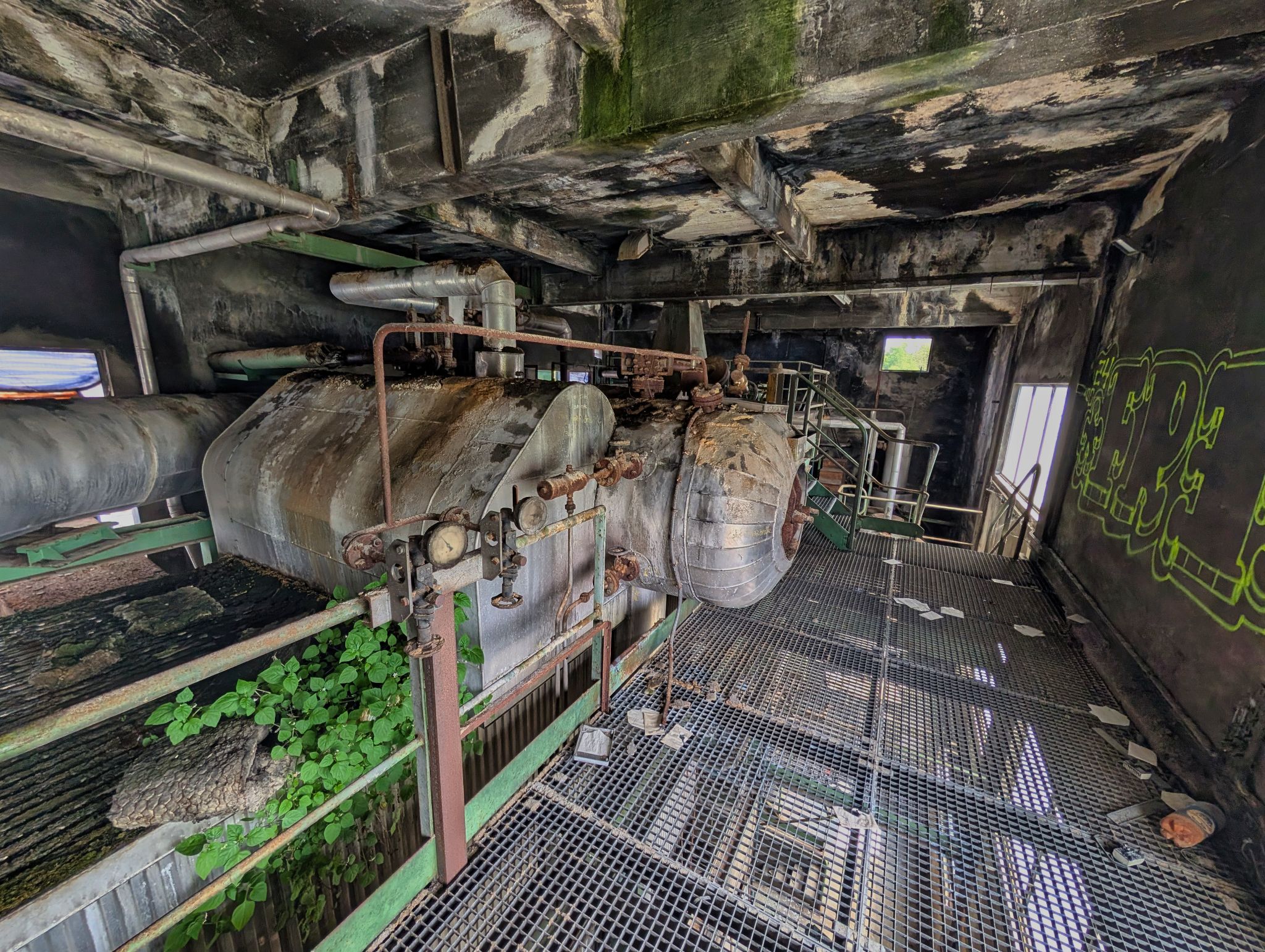 PXL 20250427 125906939