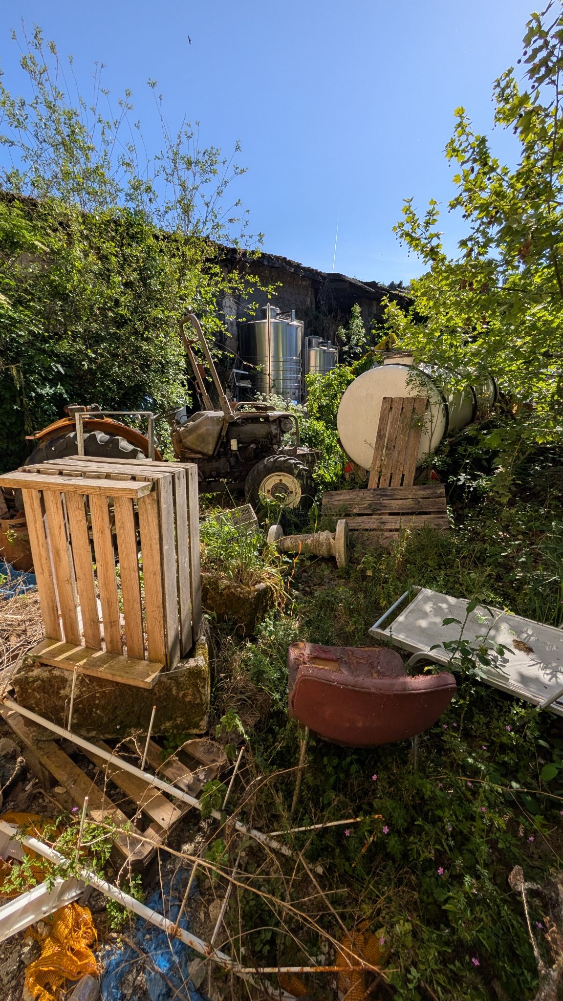 PXL 20260419 150715698