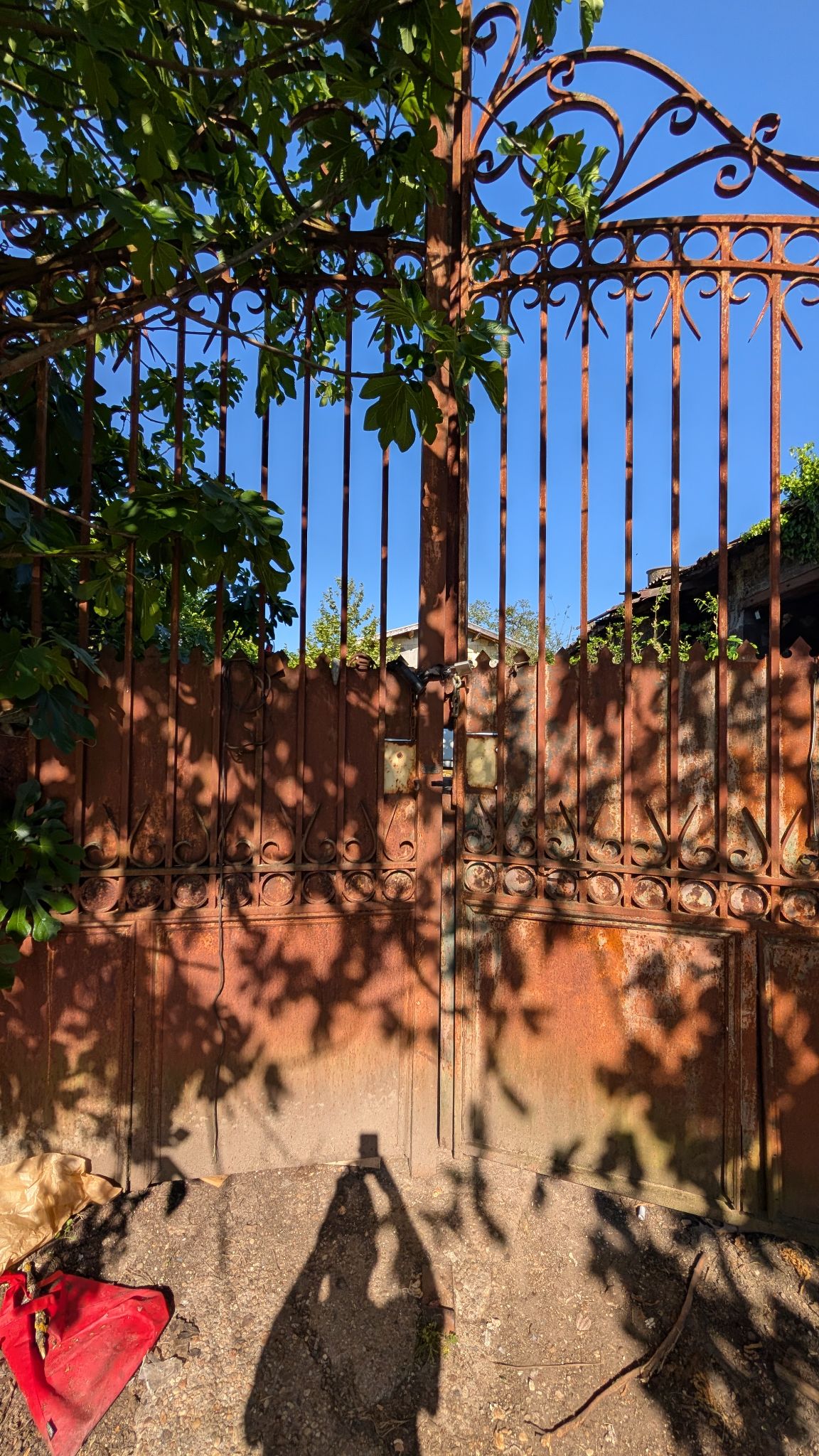 PXL 20260419 151114263