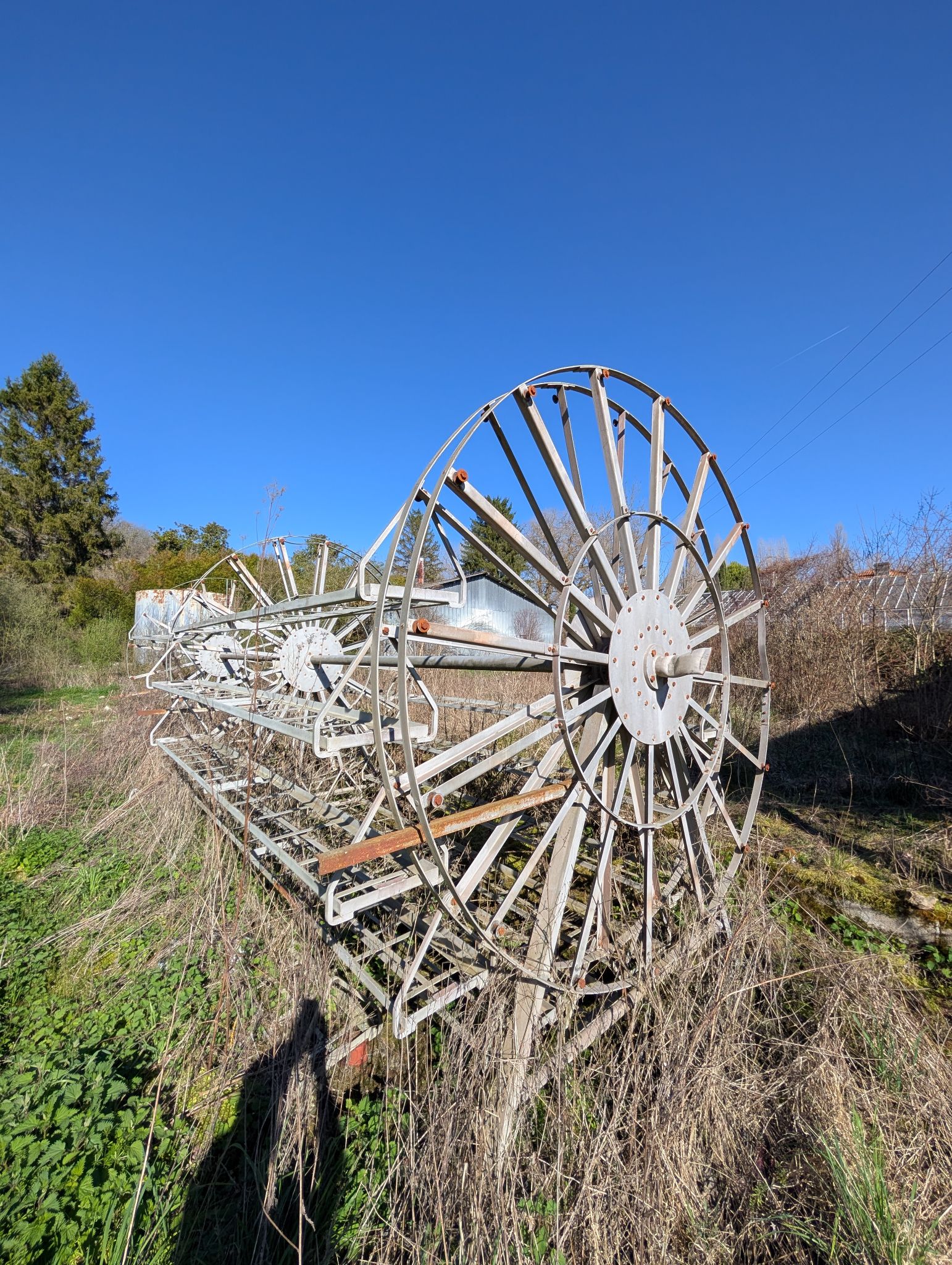 PXL 20260315 142318773