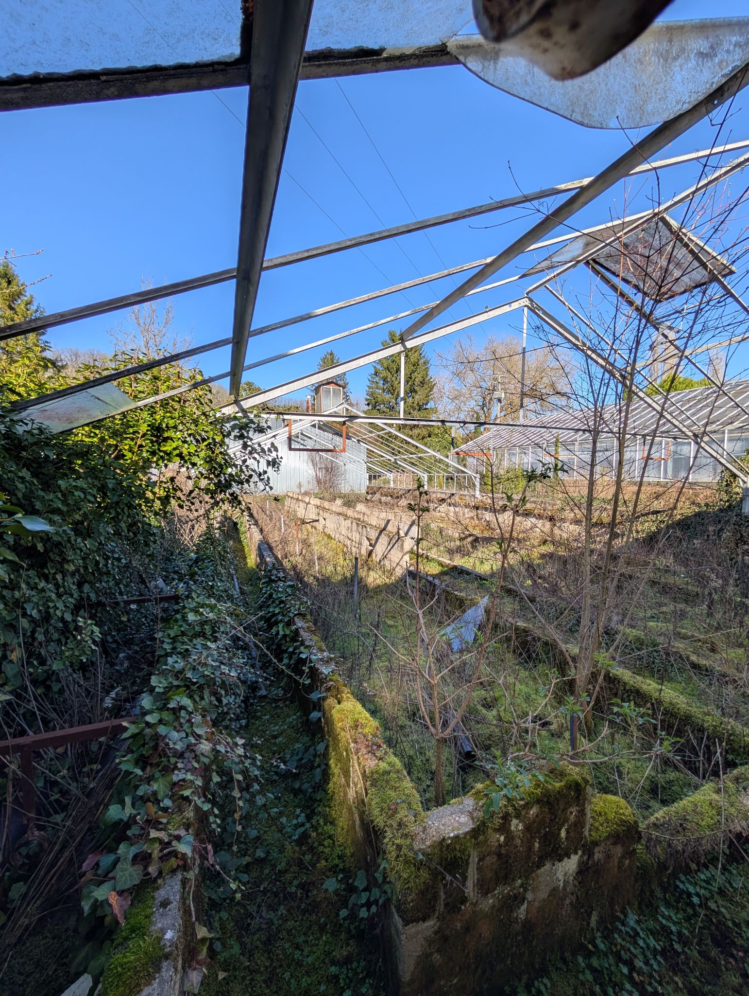 PXL 20260315 143034001