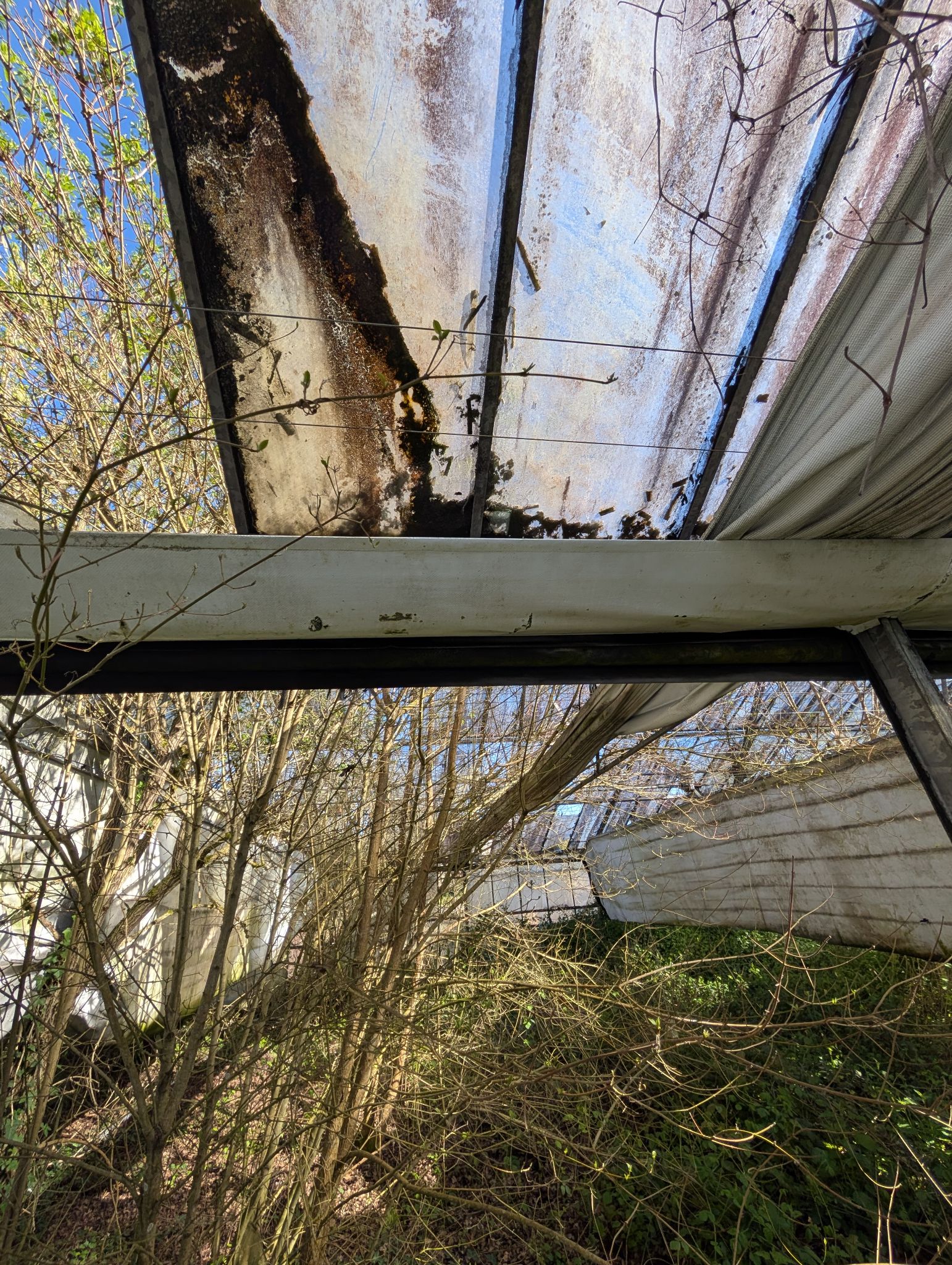 PXL 20260315 143731726.MP