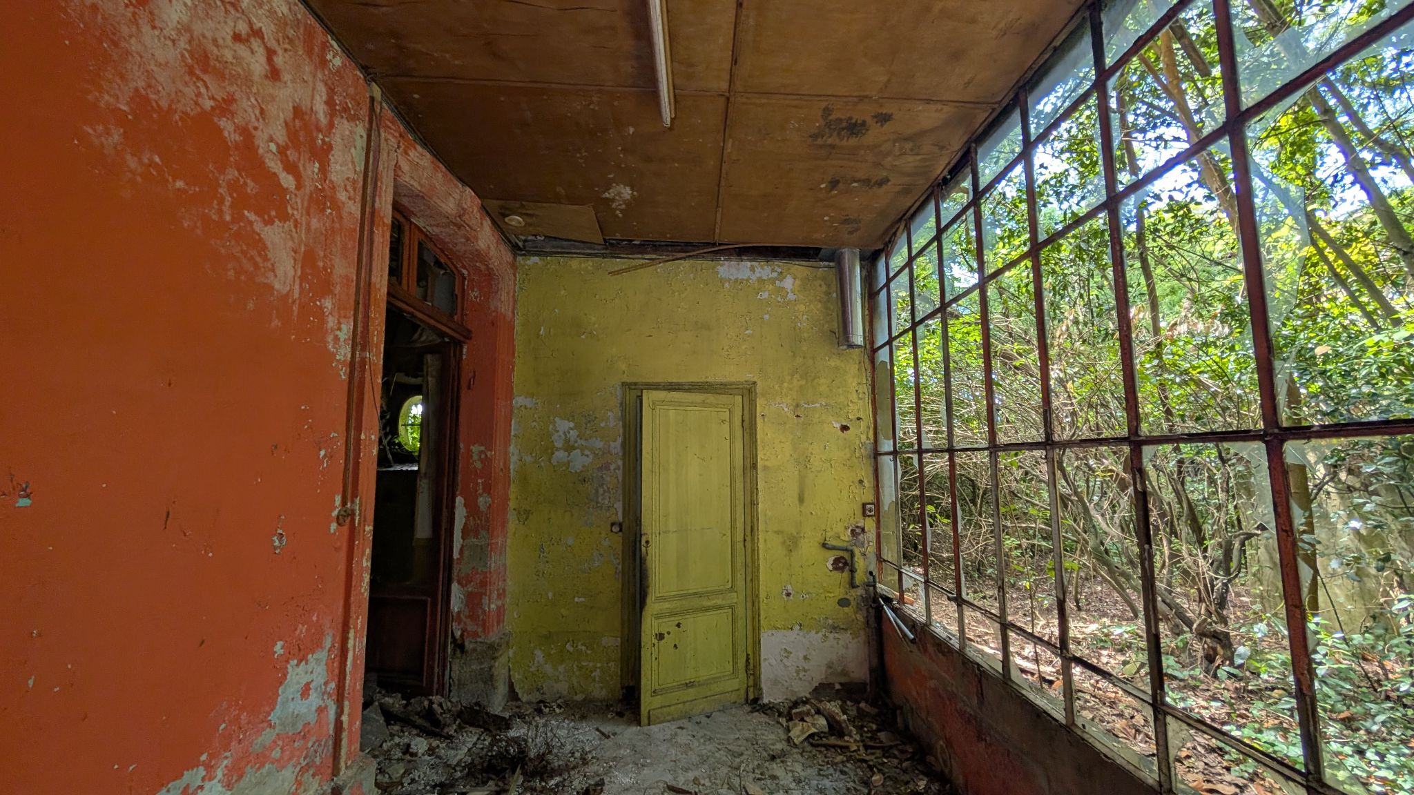 PXL 20260427 124312779