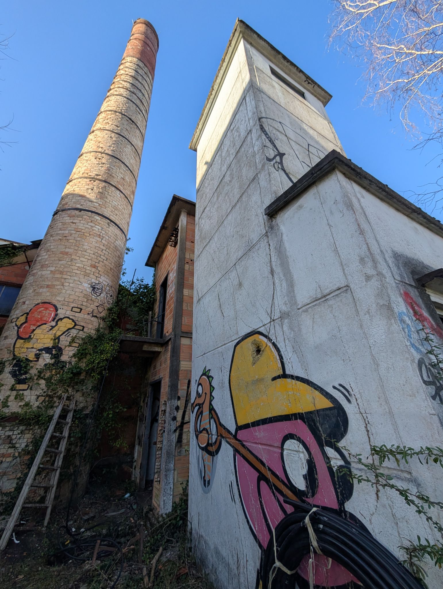 PXL 20260228 152124841