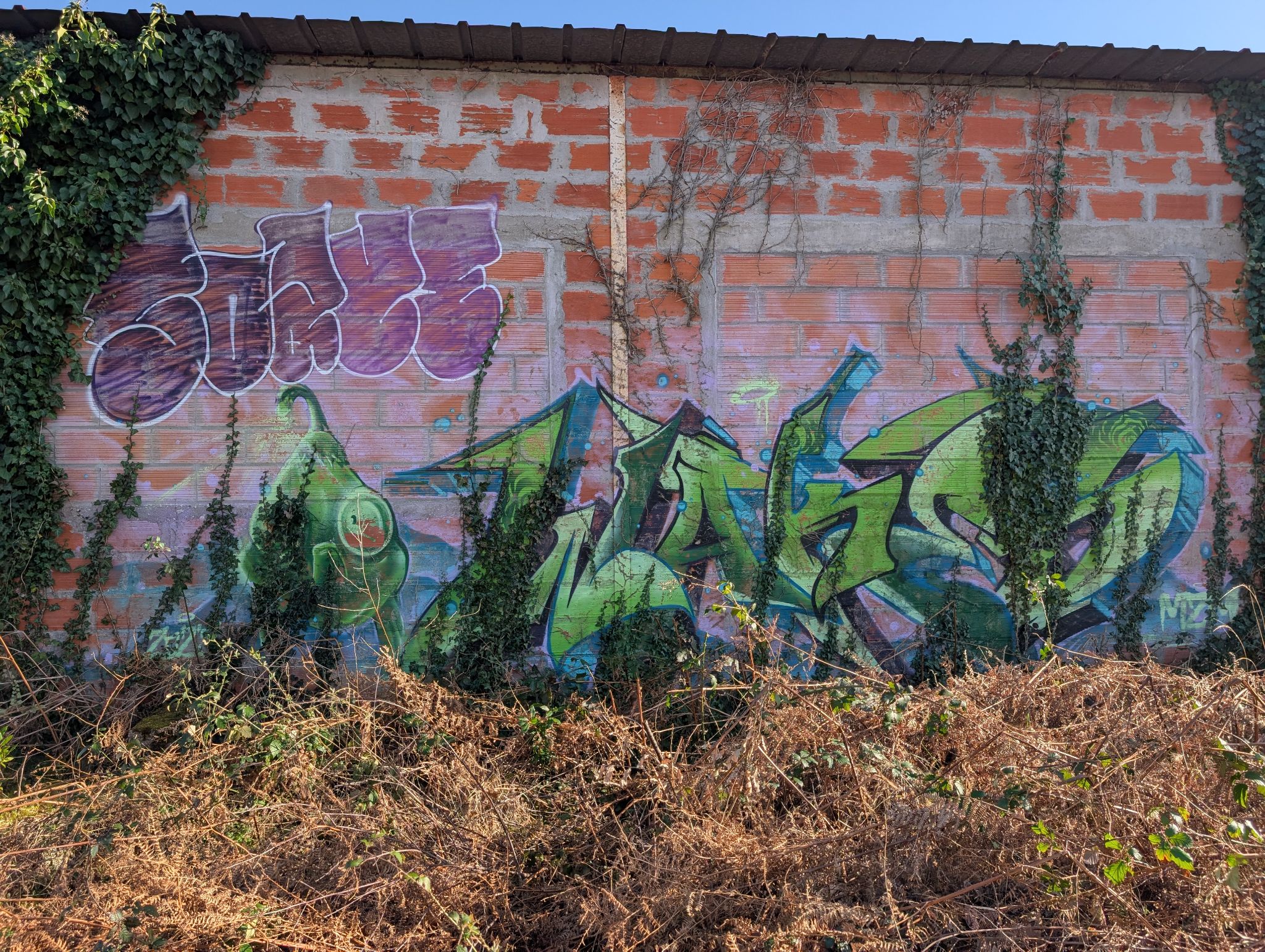 PXL 20260228 152353035