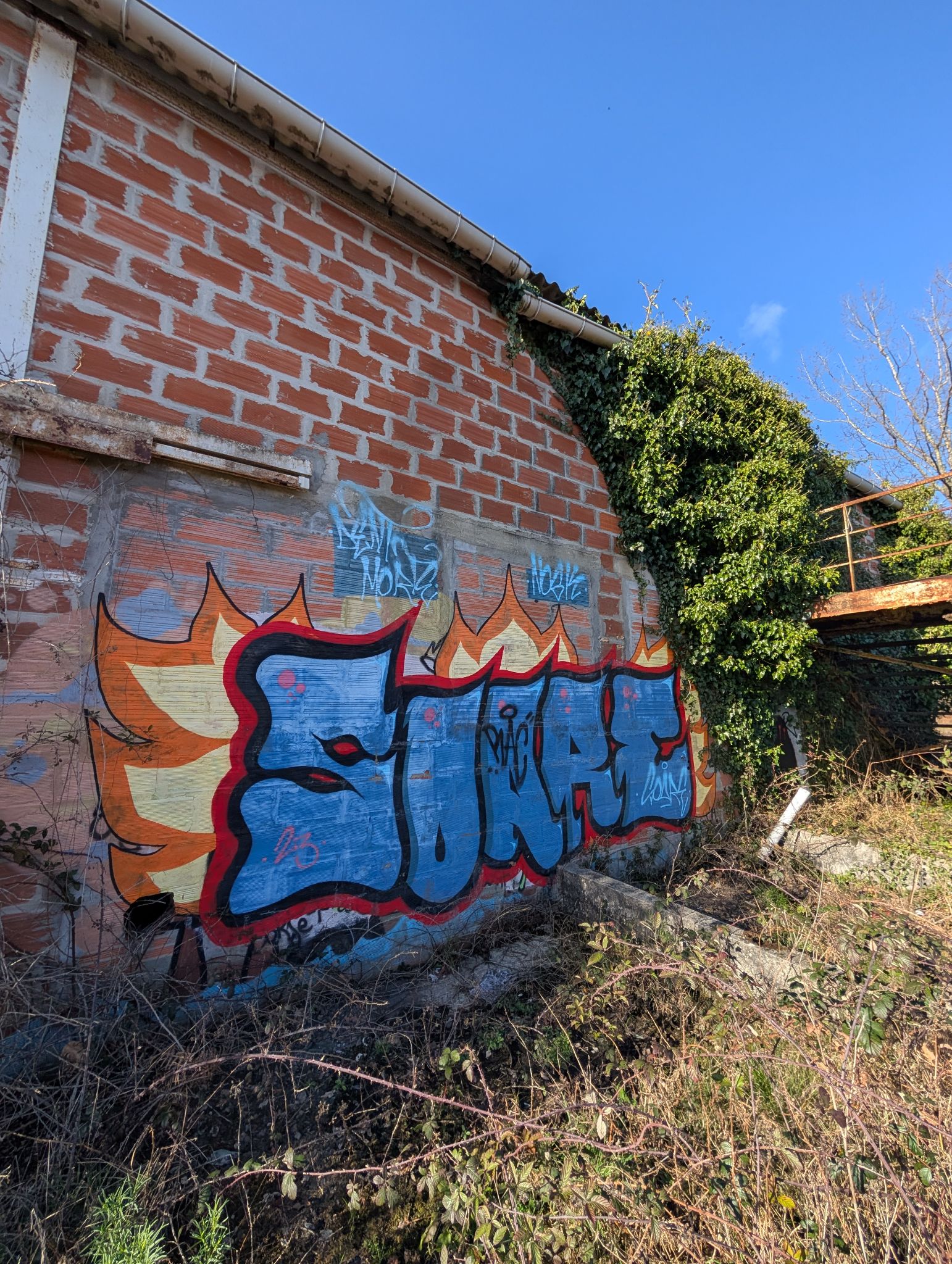 PXL 20260228 152645883.MP