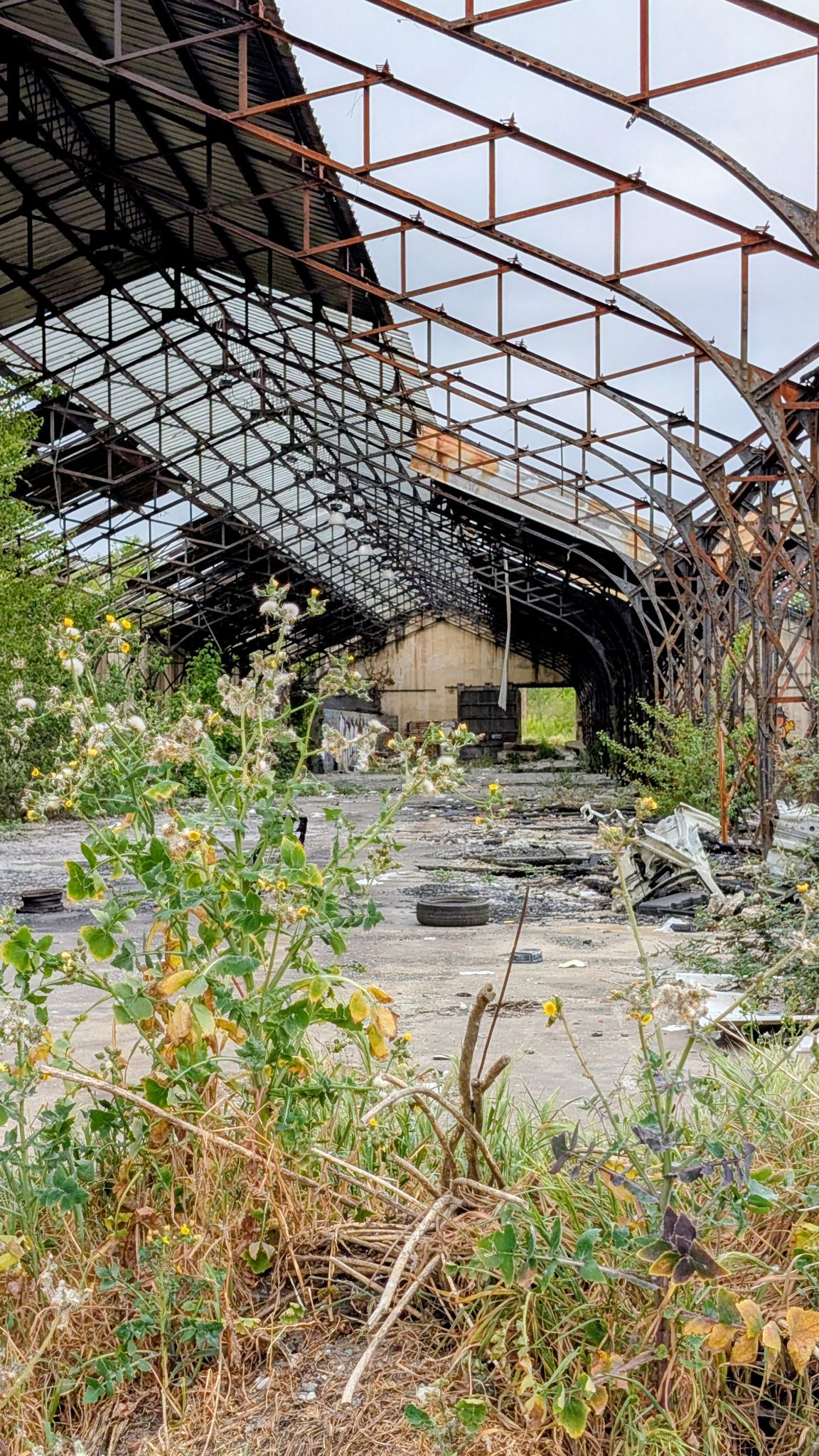 PXL 20260425 120650993~2