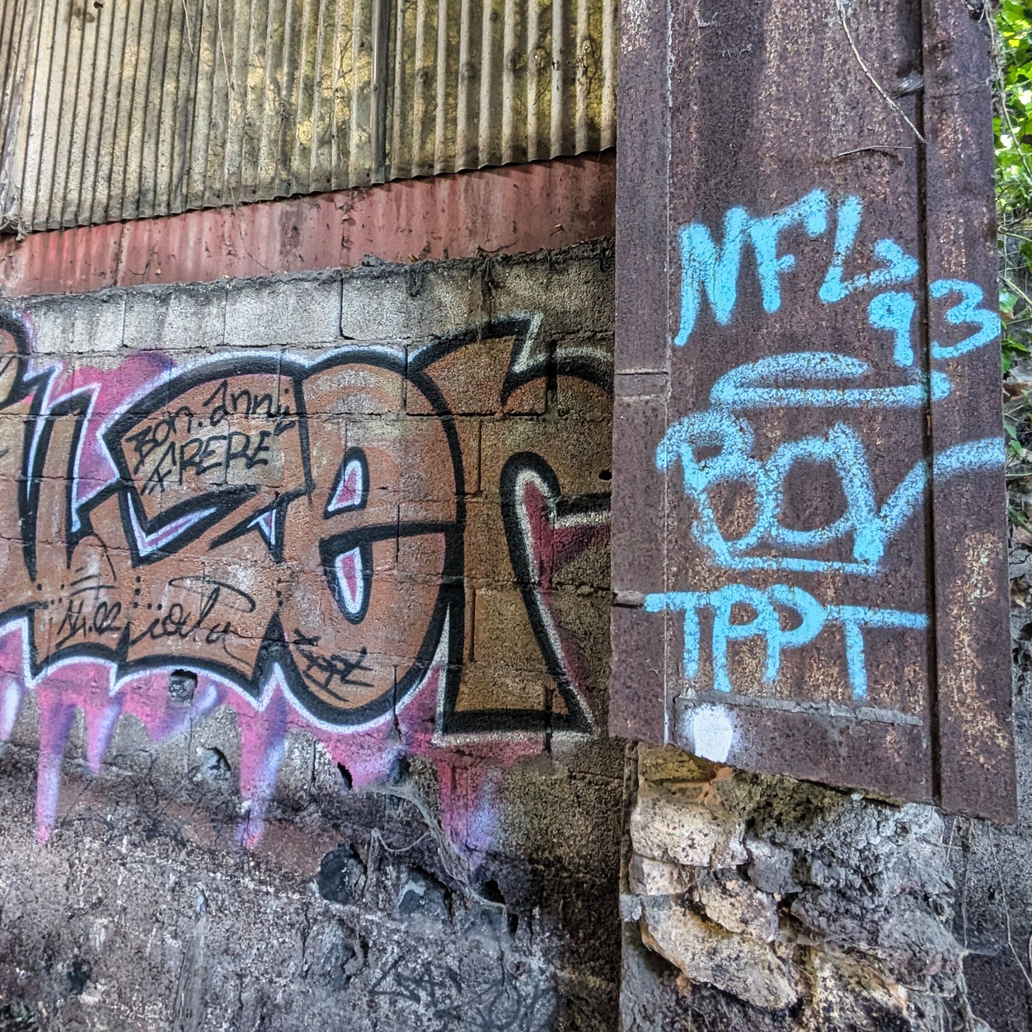 PXL 20260515 134221331