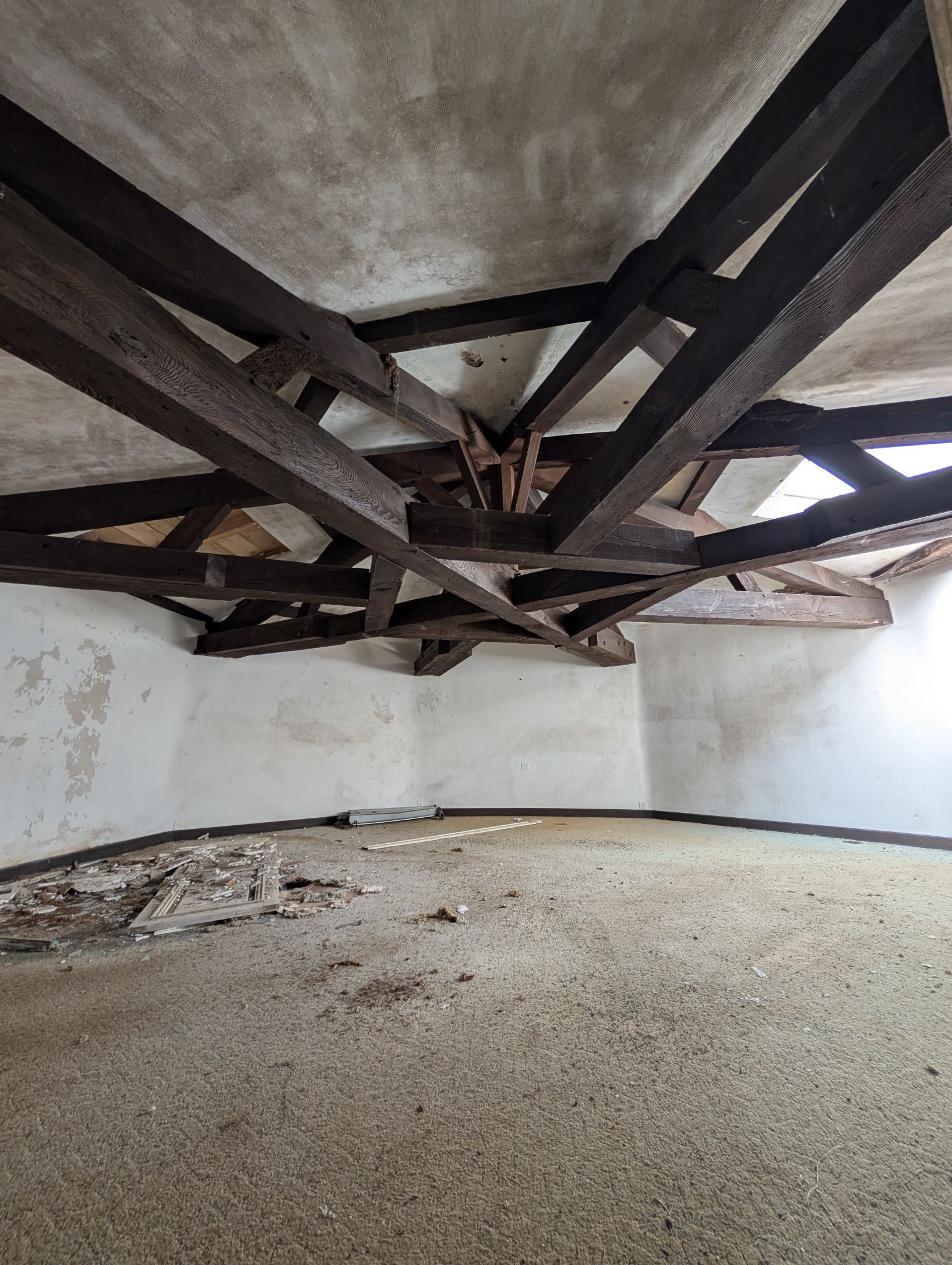 PXL 20260405 121931734