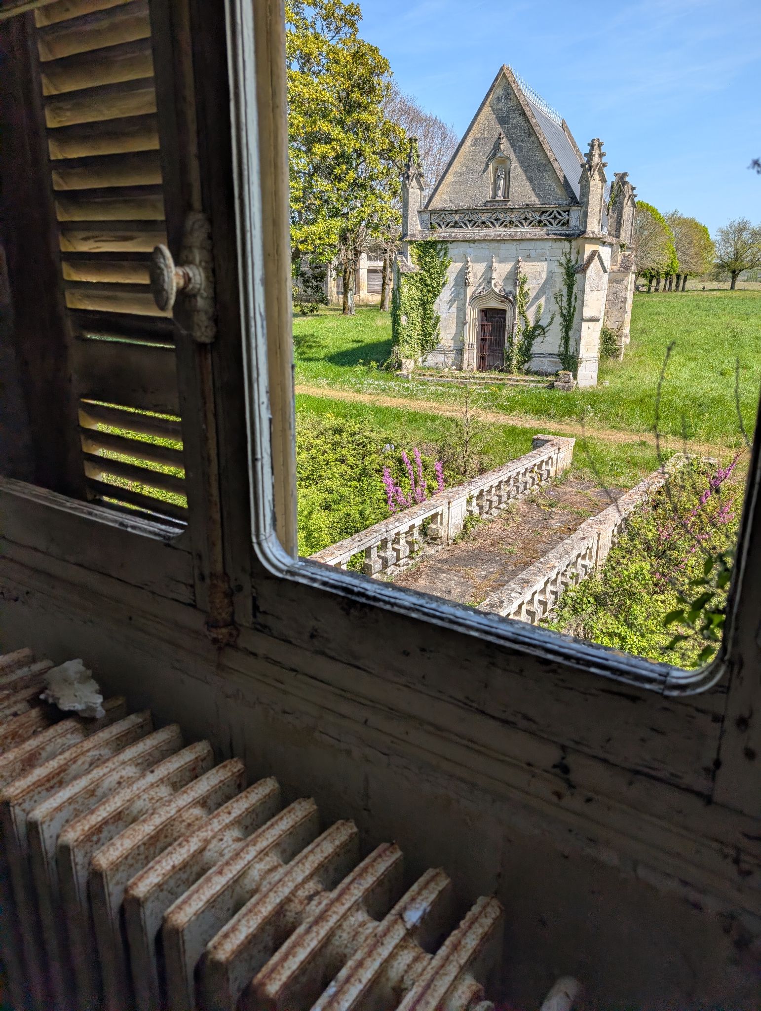 PXL 20260405 122723117