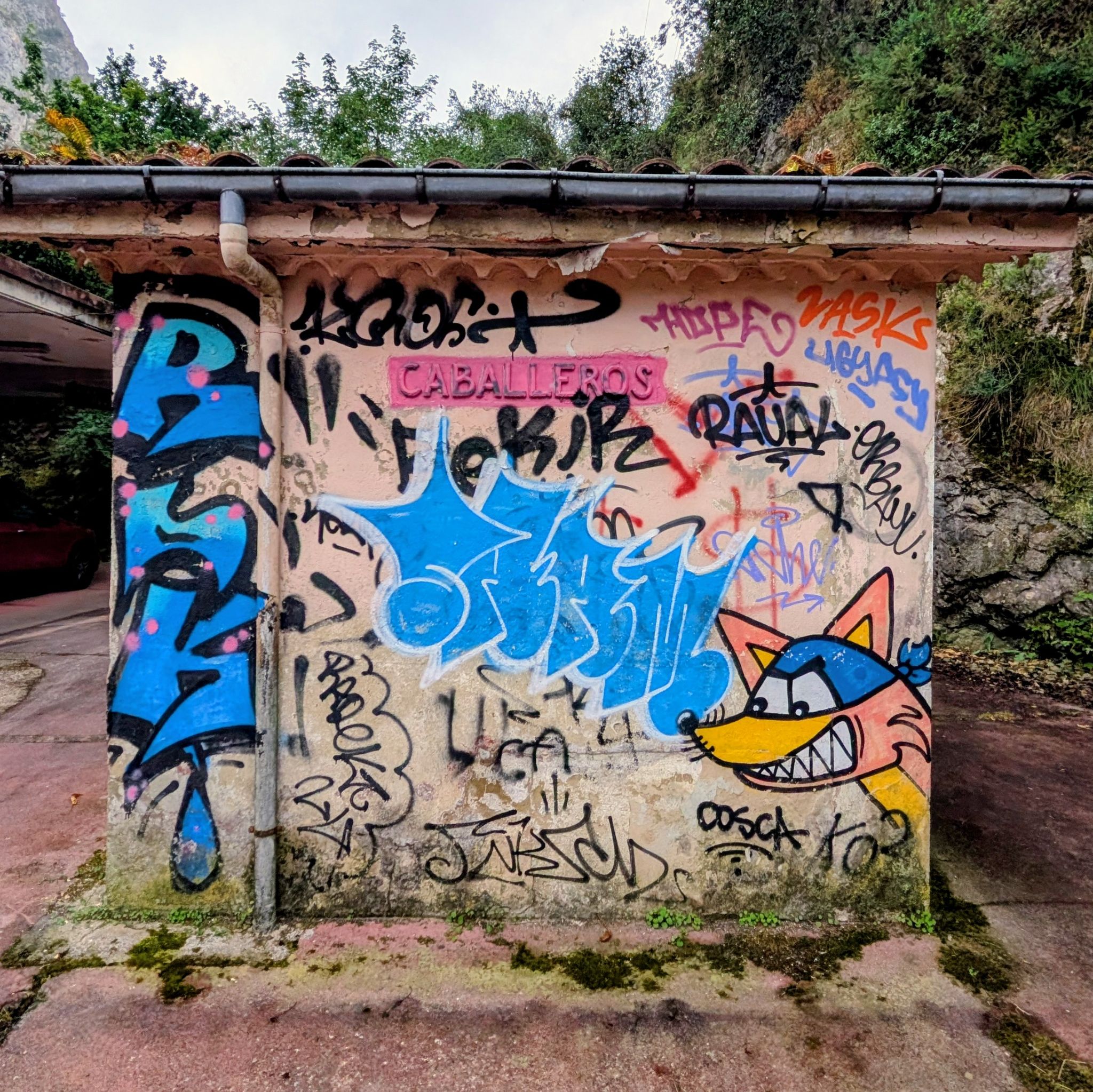 PXL 20260609 085611446.MP~2